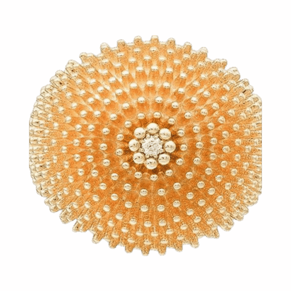 Cactus Ring - Image 3