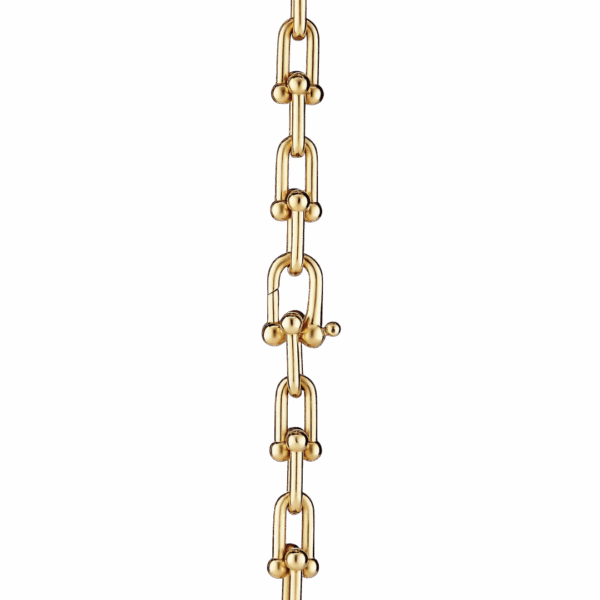 HardWear Graduated Link Necklace - Image 4