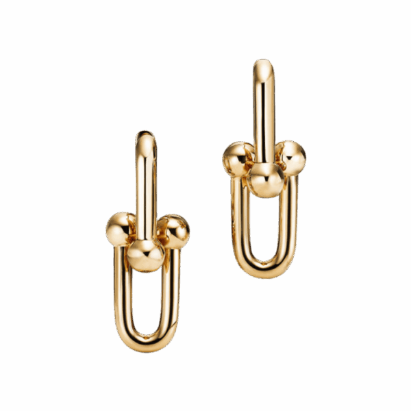 HardWear Large Link Earrings