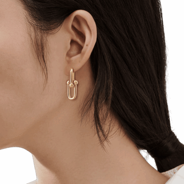 HardWear Large Link Earrings - Image 3